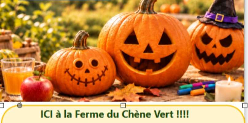 Ateliers HALLOWWEN sur réservation